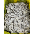 냉동 된 일본 오징어 karaage 촉수